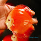 5"	Red Golden Diamond