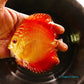 4"	Royal Rube Red Intermediate
