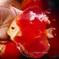 5.5+-"	Albino Red Golden Diamond
