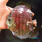 5.5"	German Red Turquoise