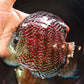 5.5"	German Red Turquoise