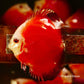 4"	Red Melon