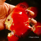 4"	Red Melon